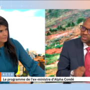 Capture d'écran de l’entretien d’Abdoulaye Yero Baldé du 2 décembre sur le plateau de TV5 Monde.